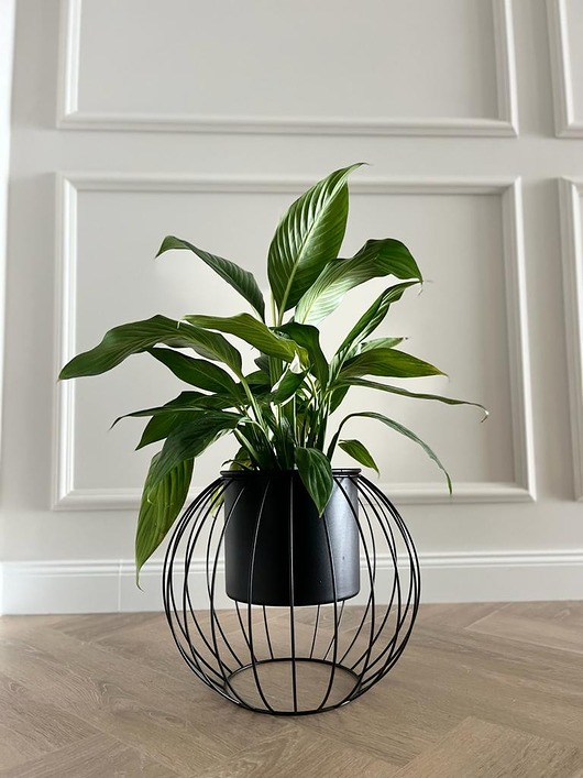 kwietniki Kwietnik metalowy loft design Ball Czarny śr. 35cm