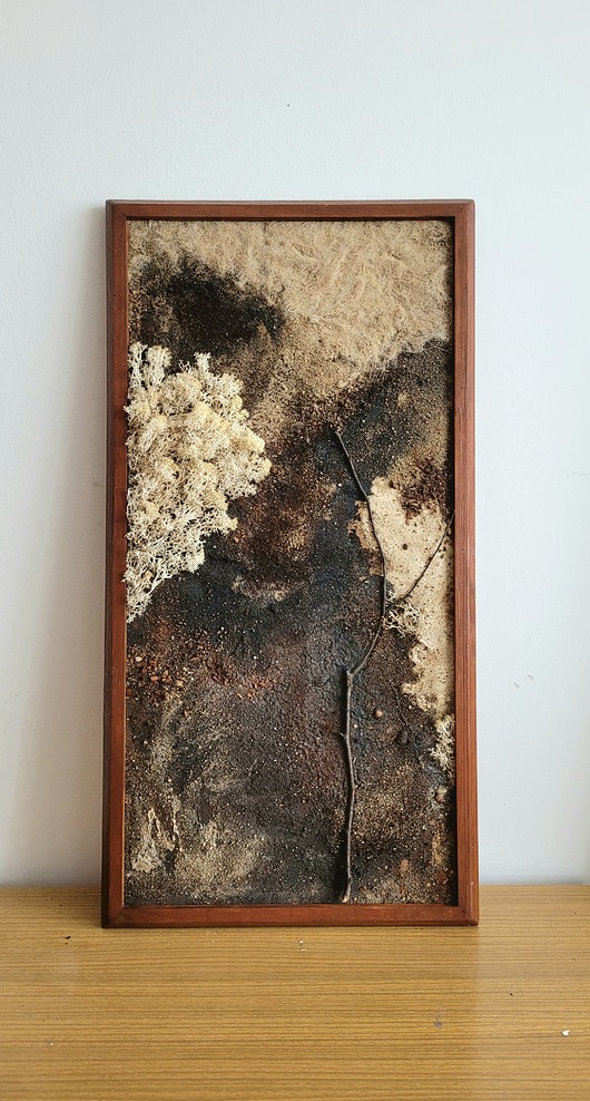 obrazy Natura struktury -abstrakcyjny obraz strukturalny