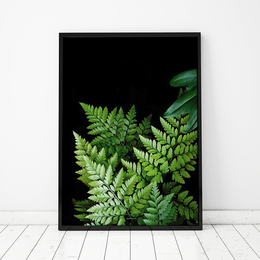 Plakat Green plants COLORMINT