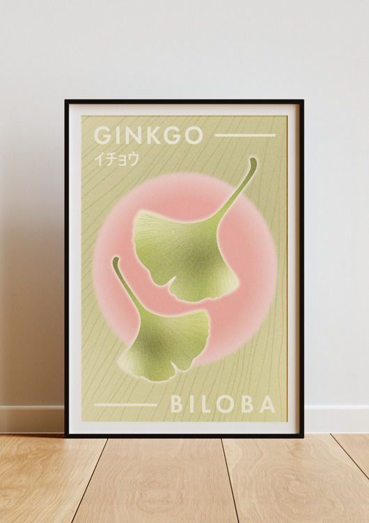 plakaty Plakat Ginkgo Biloba