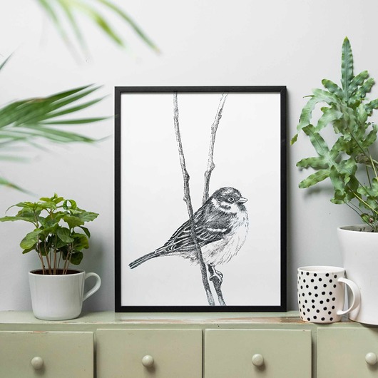 grafiki i ilustracje Wróbelek 21x30