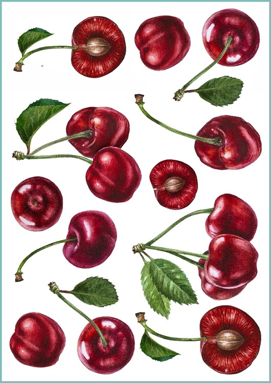 tatuaże zmywalne, tymczasowe Tatuaż tymczasowy SWEET CHERRY SET