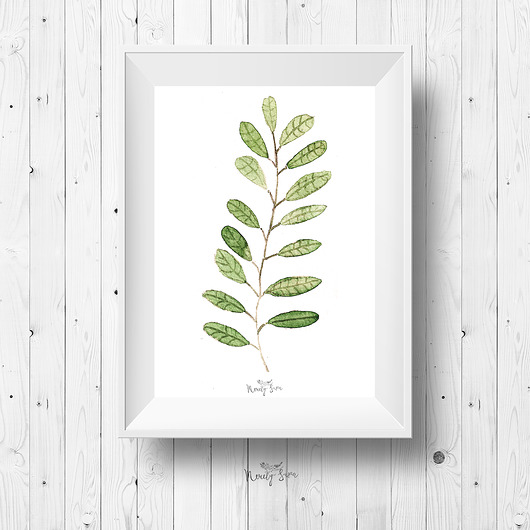 Plakat skandynawski/botaniczny - Liść A3  Merely Susan