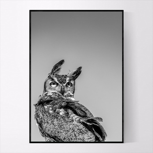 Plakat OWL 50x70 CM MUKKO