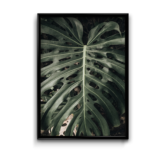 plakaty Plakat Botanic #6
