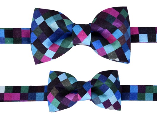 Mucha Tata i syn  DanteBowTie