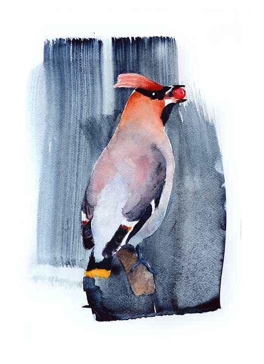 grafiki i ilustracje Jemiołuszka z jabłuszkiem