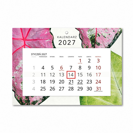 kalendarze i plannery Kalendarz Ścienny Pojedynczy 2027 Botanical A4