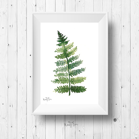 Plakat botaniczny - Paproć Merely Susan