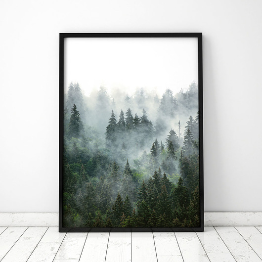 Plakat Zamglony Las 3 COLORMINT