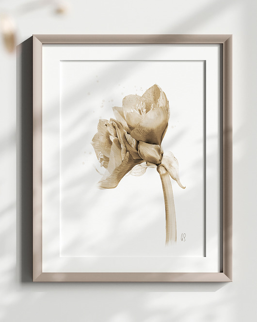grafiki i ilustracje Amarylis sepia, grafika, akwarela