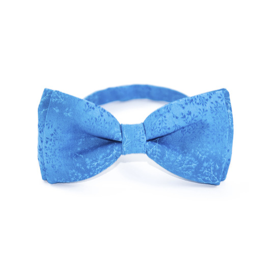 Muszka klasyczna The Bow Bow Ties