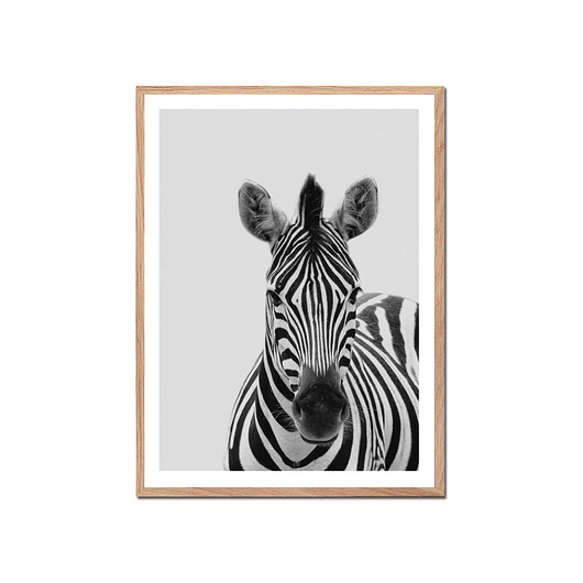 Plakat ZEBRA muybien
