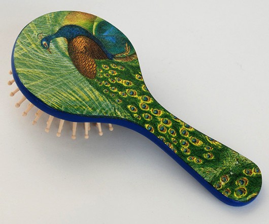 Paw artrachela