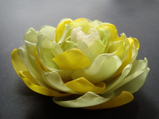CARUSSO SundayRose