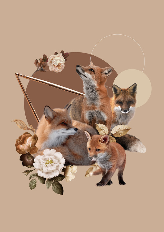 Kolaż, Plakat  FOXES chmielewskagata