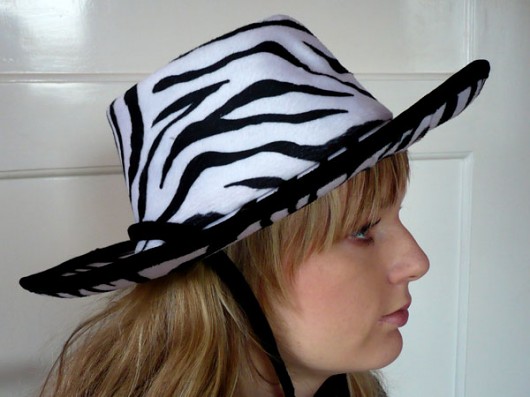 ZEBRA NA DZIKIM ZACHODZIE Recycling art