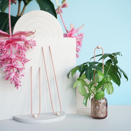 kwietniki Podpora busz.cycuszki