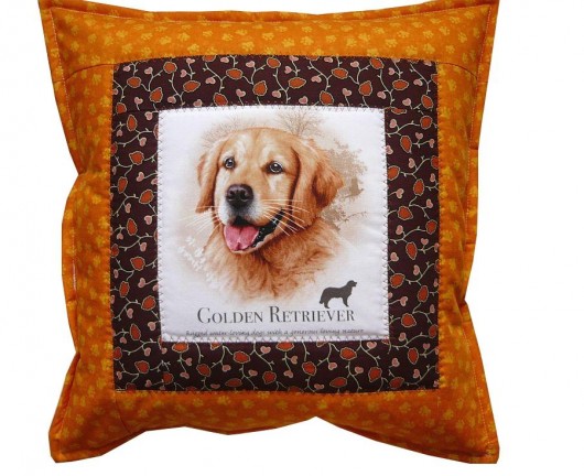Seria PUPIL: Golden Retriever Gazynia