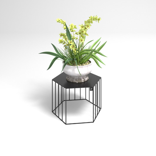 kwietniki Kwietnik Ficus Mini 30cm