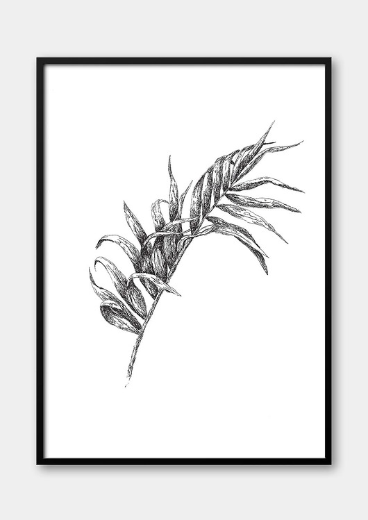plakaty Plakat Botaniczny