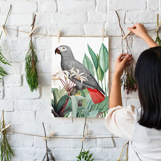 Szara papuga - plakat HOG STUDIO