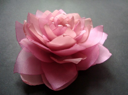 PASTELOWA MALINA SundayRose