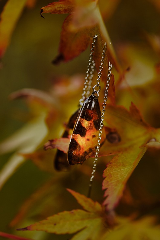 kolczyki z żywicy Kolczyki motyle rusałka osetnik