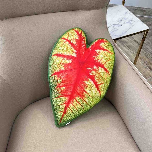 poduszki z grafiką Poduszka Liść Caladium Bicolor