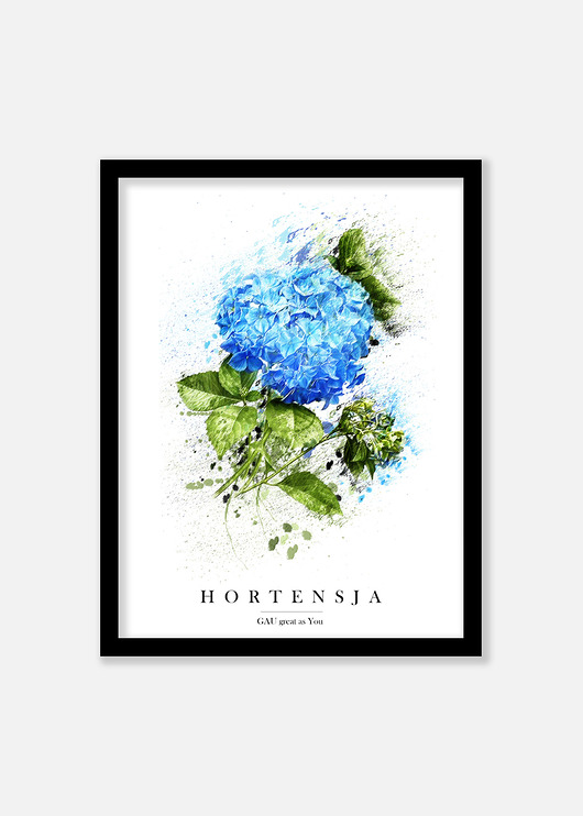 Hortensja Plakat GAU Home