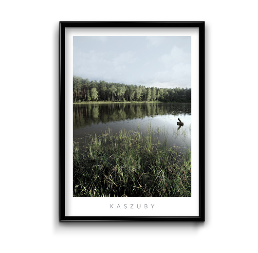 Plakat Kaszuby  Bury Lis