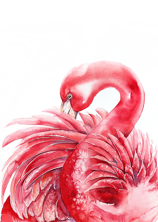 Flaming różowy #2- plakat, reprodukcja 50x70cm Karolina Kijak