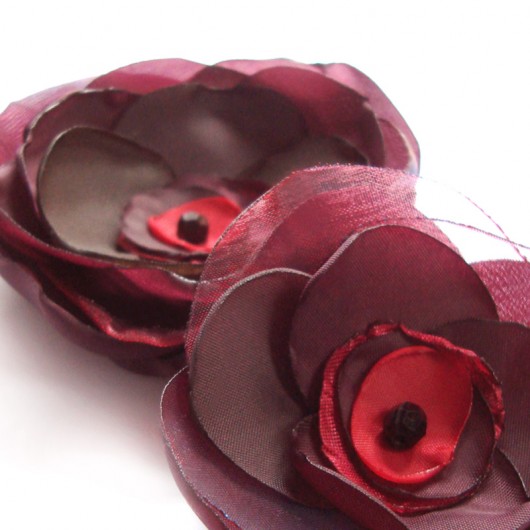 śliwka węgierka SundayRose