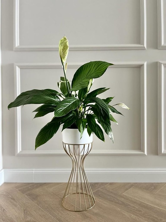 kwietniki Kwietnik metalowy stojący LOFT Design - GOLD 46cm