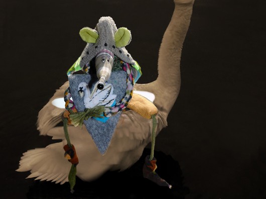 Le Chevalier au cygne Uszate