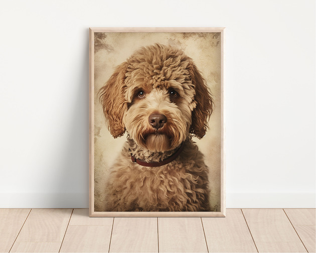 plakaty Plakat lagotto romagnolo