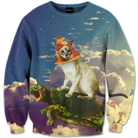Bluza Pizza Cat Brain Wash Clothing