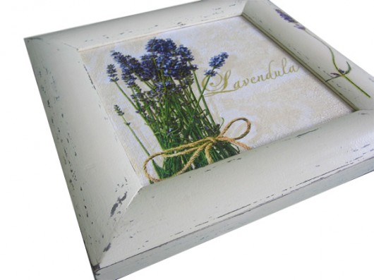 obrazek LAVENDULA W BIELI ANIKA45