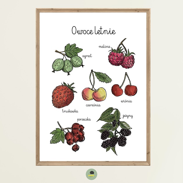 obrazy i plakaty do pokoju dziecięcego Plakat Edukacyjny Owoce Letnie Montessori dla dzieci