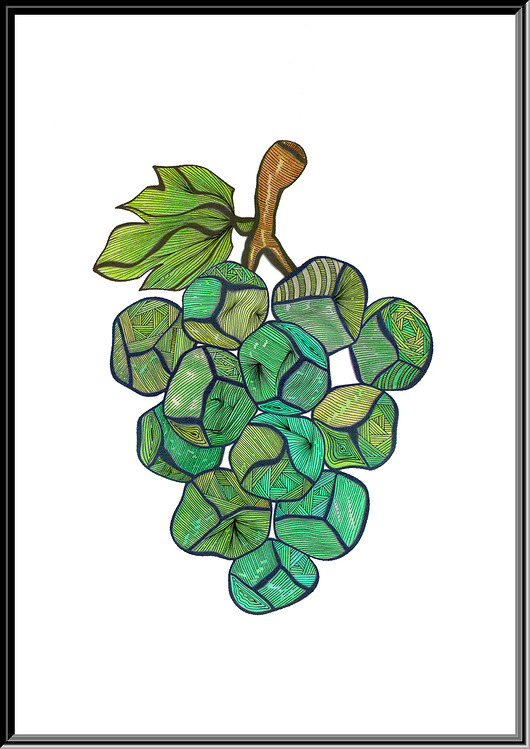 grafiki i ilustracje 92 Winogrono zielone - rysunek, plakat.
