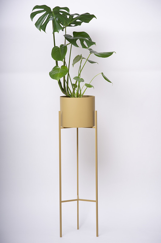 Donica KOS 85 cm,ZŁOTA Wzorek Systems