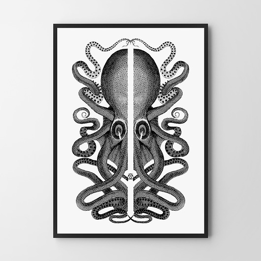 plakaty Plakat Ośmiornica