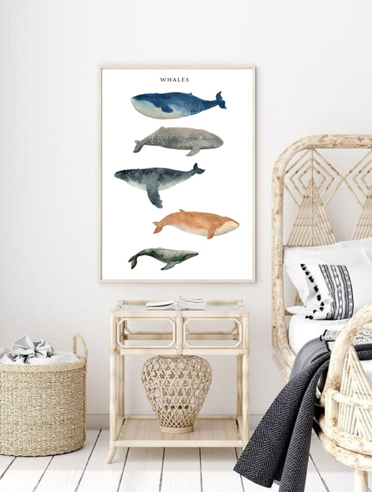 plakaty PLAKAT WIELORYBY plakat z wielorybami morski