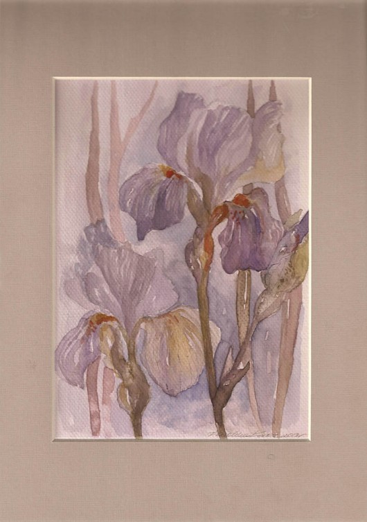 sentymentalny irys Madame&Rose