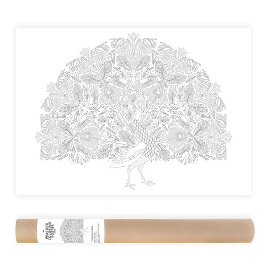 obrazy i plakaty do pokoju dziecięcego Plakat do Kolorowania Boho Paw Ptaki Pióra 50x70cm