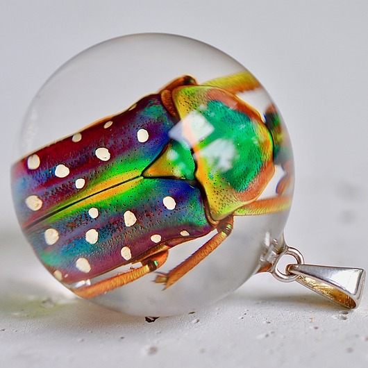Wisior z chrabąszczem Grol Jewellery