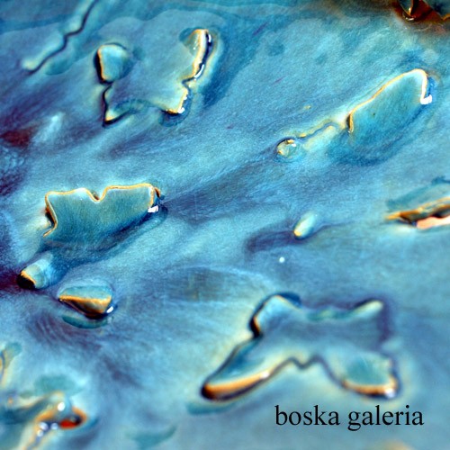 niebieskie motyle  boskagaleria