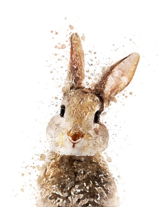 obrazy i plakaty do pokoju dziecięcego Plakat Królik A3