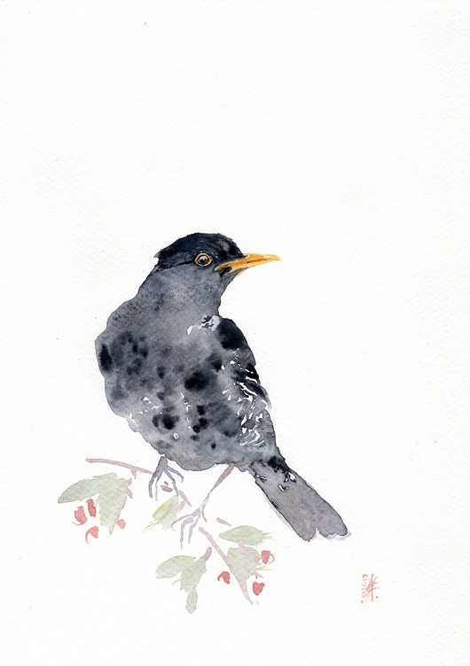 obrazy Oryginalna akwarela. Kos