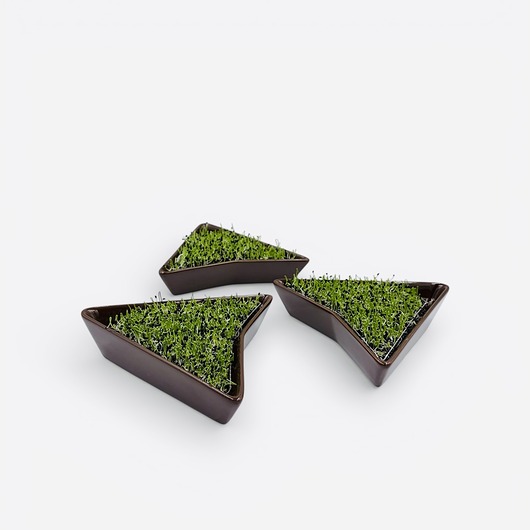 ozdoby wielkanocne Zestaw 3 czekoladowych kiełkowników + BIOZIARNA